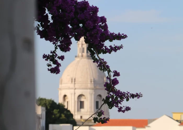 Purple flowers framing a cityscape.