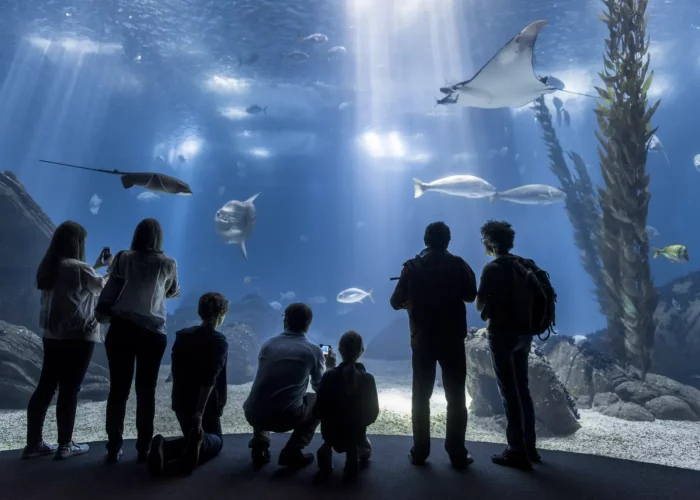 Lisbon Oceanarium